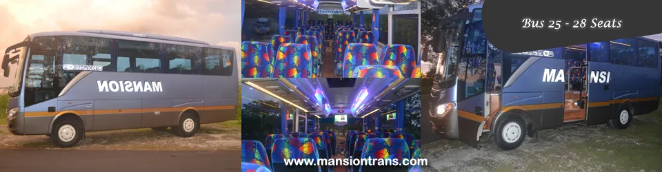 Bus pariwisata ukuran menengah untuk memilih kapasitas rombongan